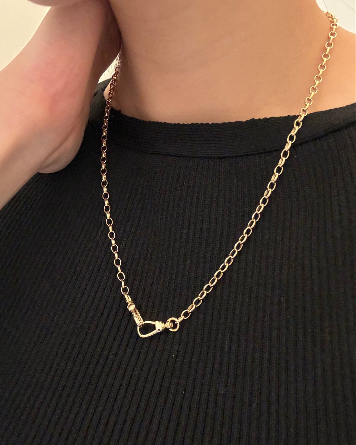 Archive Oval Belcher Clip Chain Necklace